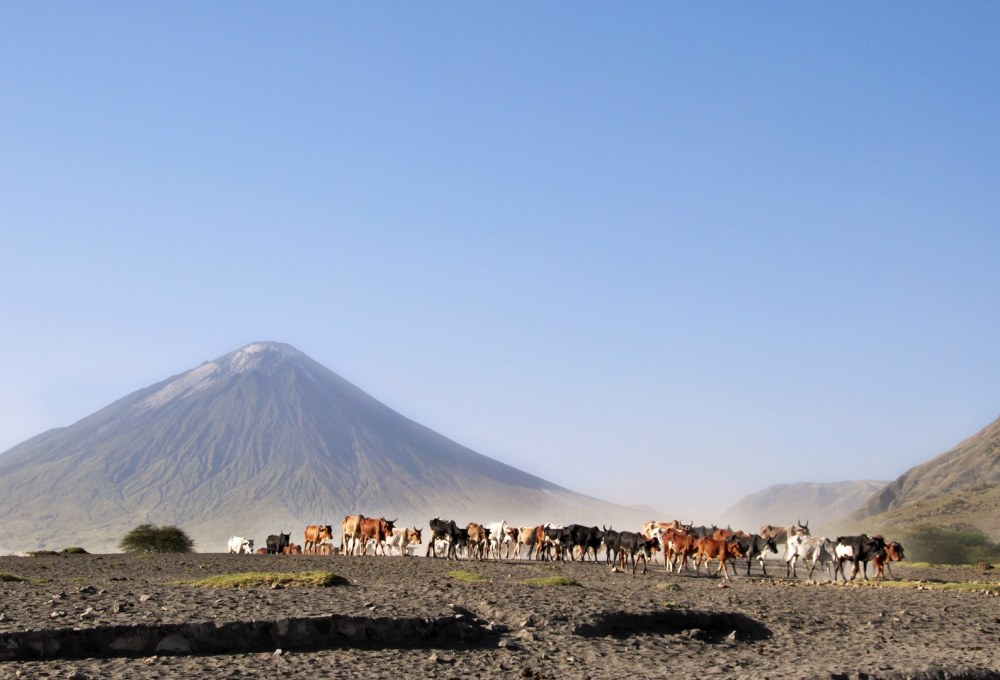 Im Kilimanjaro Gebiet als Selbstfahrer